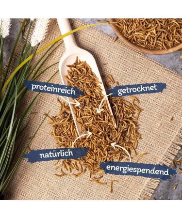 Lyra PET Mealworms 1kg - Premium Fish Feed for KOI | High Protein Rich in Vitamins & Minerals | Ideal for Decorative & Pond Fish - Buy Online on SooperMarket.com