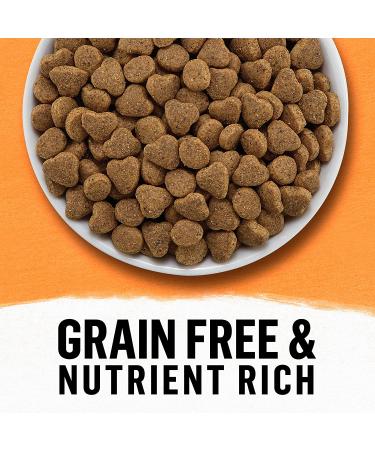 Purina Beyond Grain Free Natural Dry Cat Food - White Meat Chicken & Egg Recipe, 5 lb Bag - Buy Online on SooperMarket.com