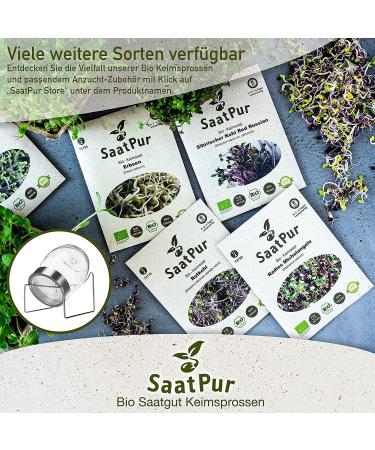 SaatPur ORGANIC Sprouts Assortment | 4 Varieties: Red Energy Mix Radish Red Cabbage Basil Beetroot - International Shipping Available - Buy Online on SooperMarket.com