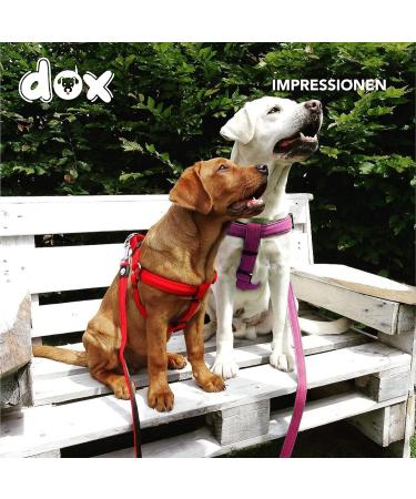DDOXX Nylon Step-In Dog Harness - Adjustable Pink Puppy Harness for All Sizes - XXS (1.0 x 26-35 cm) - International Shipping Available - Buy Online on SooperMarket.com