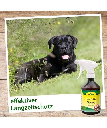 CDVET NATURDEDEDE INSETOVET Spray 500ml - Effective Flea & Tick Protection for Dogs & Cats - Instant Insect Defense & Parasite Prevention - Buy Online on SooperMarket.com