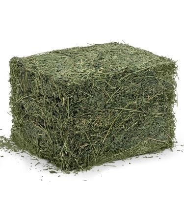 Dried Natural Alfalfa Hay for Rabbits, Guinea Pigs, Chinchillas & Ferrets - Protein and Fiber-Rich Food - 5 lb Pack - Healthy Pet Food - Buy Online on SooperMarket.com
