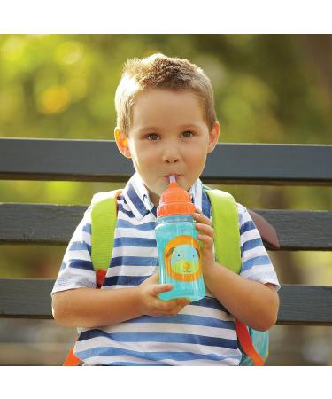 Skip Hop Toddler Dog Sippy Cup with Straw - Zoo Straw Bottle for Kids - Buy Online on SooperMarket.com