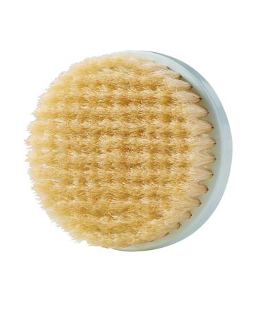 Remington Reveal Natural Brush Head