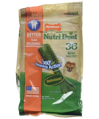 Nylabone Nutri Dent Mini Dental Chews- 36 Count 6.3 Oz (2 Pack)