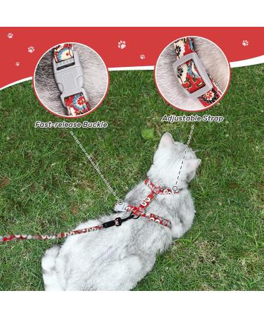 Petom Flower Pattern Cat Dishes & Adjustable Leash Set for Small to Medium Cats (S Red) - Perfect Cat Accessories for International Shipping - Buy Online on SooperMarket.com