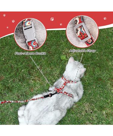 Buy Pettom Flower Pattern Cat Dishes & Adjustable Leash for Small to Medium Cats - Break-Proof & Stylish - International Shipping Available - Buy Online on SooperMarket.com