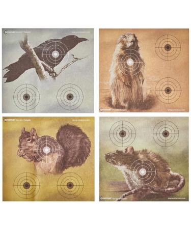 Crosman Varmint Targets, 20-Pack