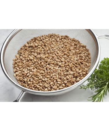 Organic Italian Pearled Farro 1lb - Kosher Vegan Grain | High Fiber | Bulk Pack - Buy Online on SooperMarket.com