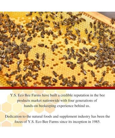 Y.S. Organic Bee Farms 100% Certified Y.S. Organic Raw Honey Unpasteurized Unfiltered Fresh Raw State Kosher Pure Natural Healthy Safe Gluten Free Harvested with Extreme Care 2 Lb (4) - Buy Online on SooperMarket.com