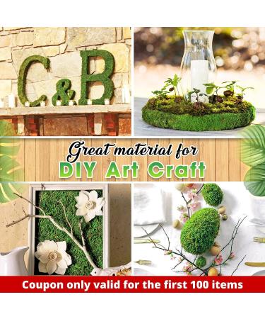DUSPRO Moss Mat 2Pcs - Self Stick Moss for Crafts & Decor - 13x9.5 Inches - Ideal for Moss Wall Decor & Wedding Party - Green Sheet Moss - Buy Online on SooperMarket.com