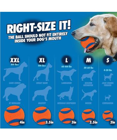 Chuckit! Sport Dog Ball Launcher - Large Tennis Ball Fetch Toy - 66cm/26 Durable Ball Thrower for Dogs - Buy Online on SooperMarket.com