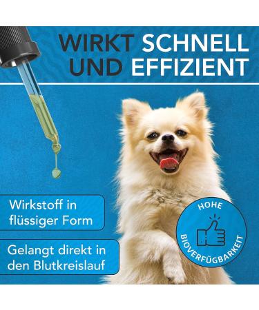 Buy Vitamin B Complex for Dogs 100ml | All B Vitamins Included | Innovative Drops Formula | Made in Germany - Buy Online on SooperMarket.com