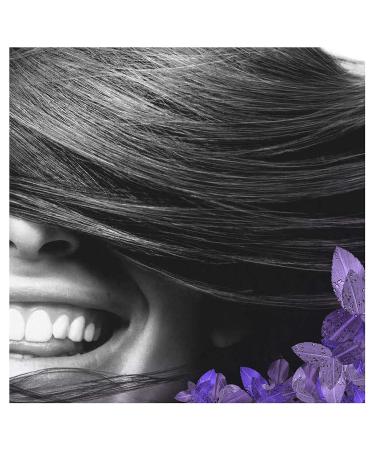 Buy SCENT-Sational Smooth Conditioner 200 ml | Nourishing Hair Care | International Shipping Available - Buy Online on SooperMarket.com