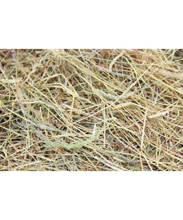 Meadow Hay ideal for Rabbit Guinea Pig etc. - 8kgs - Buy Online on SooperMarket.com