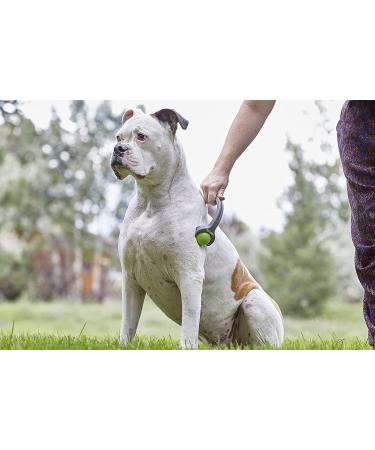 PetWell Dual Point Handheld Massage Roller for Dogs & Cats - Buy Online on SooperMarket.com