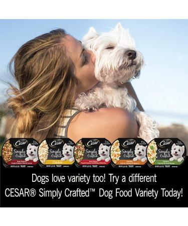Cesar Simply Crafted Chicken & Sweet Potato Wet Dog Food Variety Pack - 1.3oz (Pack of 16) - Buy Online on SooperMarket.com