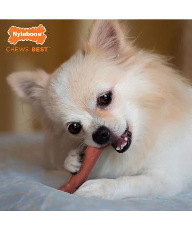 Nylabone Power Chew Dog Bone for Aggressive Chewers - Bacon X-Small/Petite - 1 Count - Buy Online on SooperMarket.com