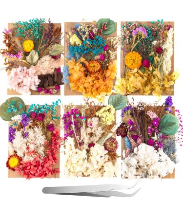 2 Random Boxes Pressed Dried Flowers Dried Flowers for Resin Real Dried Flower Leaves Mixed Pressed Flower Colorful Real Dried Flower with Tweezers for Resin Jewelry DIY Making Wedding
