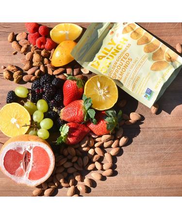 Golden Goodness Daily Crunch Sprouted Almonds 5oz (2 Pack) - Savory Spice Blend, Sea Salt & Turmeric | Keto Friendly, Non-GMO, Vegan, Healthy Snack - Buy Online on SooperMarket.com