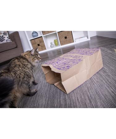 SmartyKat Hideout Tunnels & Playmat Toys for Cats & Kittens - Set of 2 Catnip Caves for Fun & Engaging Play - Buy Online on SooperMarket.com