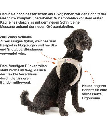 Buy Curli Air-Mesh Vest Harness in Black (M) - Durable Stylish & Comfortable for Pets | International Shipping Available - Buy Online on SooperMarket.com