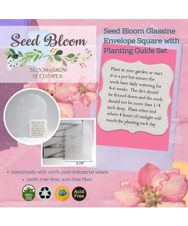 Seed Bloom 24-Piece Handmade Wildflower Seed Paper Gift Set | Recycled Seeded Paper Tags & Cards | Stationery & Gift Wrap Supplies with Hearts Envelope & Planting Guide - Buy Online on SooperMarket.com