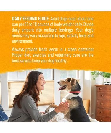 Purina Beyond Grain Free Wet Dog Food - Chicken, Carrot & Pea - 12 Cans (13 oz) - Natural Adult Entree - Buy Online on SooperMarket.com