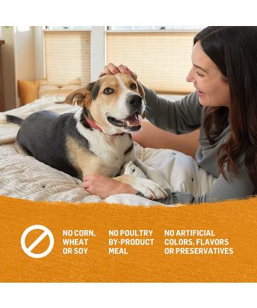 Purina Beyond Grain Free Wet Dog Food in Gravy - Chicken & Sweet Potato, 12.5 oz Cans (12-Pack) - Buy Online on SooperMarket.com