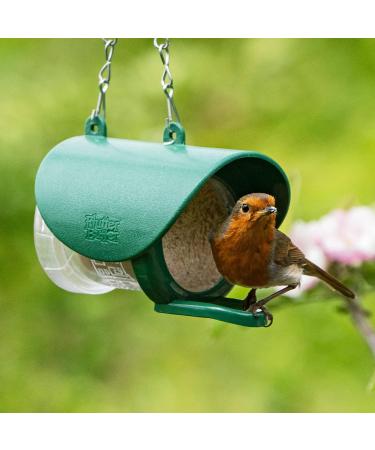 Peanut Butter for Birds - Jacobi Jayne Flutter Butter EcoRefills - Buggy Flavour Wild Bird Food - Ultra-Convenient Eco-Friendly Bird Feed - Pack of 12 Refills Buggy Buggy 140 g (Pack of 12) - Buy Online on SooperMarket.com