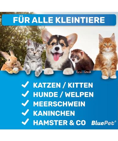 Bluepet Cat & Small Dog Brush | Gentle Undercoat Removal & Daily Fur Care - Mini Pink Rabbit Brush - Buy Online on SooperMarket.com
