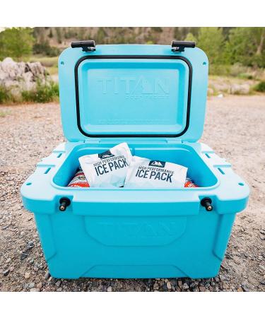 Arctic Zone High Performance Ice Pack Set of 2 - 250g for Lunch Boxes, Bags, Coolers - Buy Online on SooperMarket.com