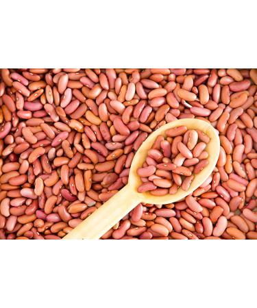 Hunza Organic Light Red Kidney Beans (2 lbs) 2 Pound (Pack of 1) - Buy Online on SooperMarket.com