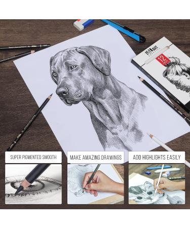 Galart Supplies Charcoal Drawing Set - 12 Piece Pre-Sharpened Pencils for Artists and Beginners | Soft, Medium, Hard, and White Charcoal Pencils for Drawing, Shading, and Sketching with Organizer Tray - Buy Online on SooperMarket.com