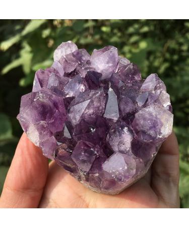 Specimen Healed Natural Raw Amethyst Quartz Purple Crystal Cluster Stones Specimen As a Gift FZUGEDRLI (Size : 260-300g) - Buy Online on SooperMarket.com