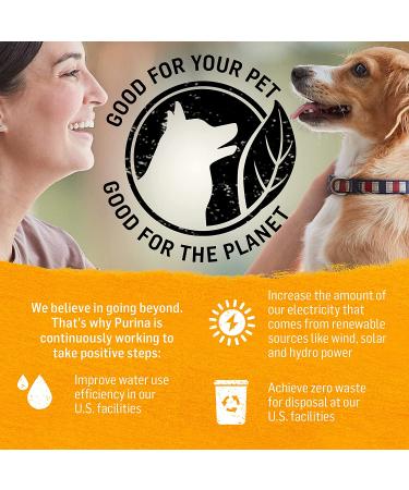 Purina Beyond Grain Free Wet Dog Food - Chicken, Carrot & Pea - 12 Cans (13 oz) - Natural Adult Entree - Buy Online on SooperMarket.com