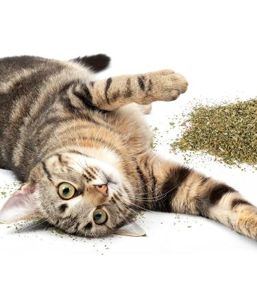 Organic Catnip for Cats & Kittens - 1oz Resealable Pouch by SmartyKat - Buy Online on SooperMarket.com