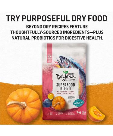 Purina Beyond Grain Free Wet Dog Food in Gravy - Chicken & Sweet Potato, 12.5 oz Cans (12-Pack) - Buy Online on SooperMarket.com