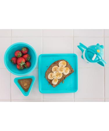 Made in USA Lollaland Weighted Straw Sippy Cup - Infant & Toddler Transition Cup | Shark Tank Product | Lollacup (Turquoise) with Straw Replacement Pack - Buy Online on SooperMarket.com