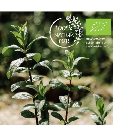 Rimoco N 114 Bio White Pepper Organic Malabar Peppercorns | Sweet & Mild | 1000g Kraft Bag (DE- KO-007) - International Shipping Available - Buy Online on SooperMarket.com