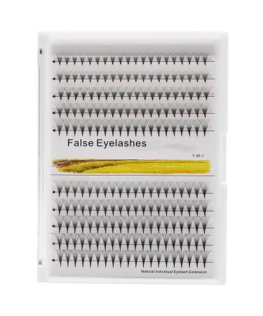 Dedila Premade Fans Eye Lashes Extensions 12D Long Stem Natural Individual False Eyelashes Mixed 8-10-12-14mm/10-12-14-16mm/12-14-16mm/12-13-15-16mm/14-15-16mm Cluster Lashes (10-12-14-16mm)