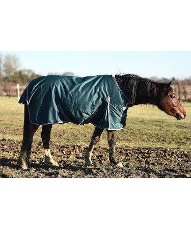 Lightweight No Fill Turnout Horse Rug Horse Turnout Rug 0g Fill 600d Lightweight No Fill Turnout Horse Rugs | Standard Neck Horse Rain Sheet (6'3'') - Buy Online on SooperMarket.com