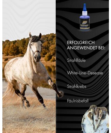 HOOFGOLD BlueStuff Hoof Care - 50ml Thrush Remedy for Horses - Fast Relief International Shipping - Buy Online on SooperMarket.com