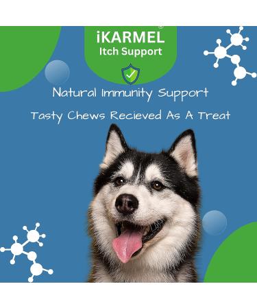 Doggy Dailies Probiotics for Dogs - Canine Supplements for Digestive and Immunity Support - Skin Health and Itch Support - Vitamin Treats - Veterinarian Formulated Probiotic 180 Count (Pack of 1) - Buy Online on SooperMarket.com