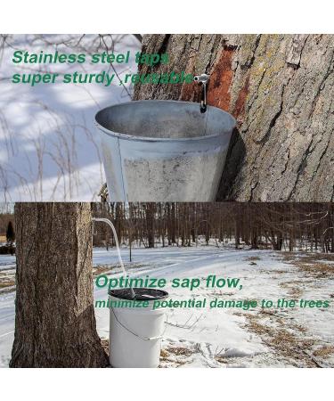 Premium Stainless Steel Maple Syrup Taps - Reusable Tree Water Taps for Family Farms & Gardens - Buy Online on SooperMarket.com