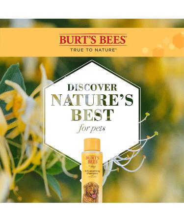 Burt's Bees Dog Itch Soothing Shampoo & Spray - Honeysuckle, 16 oz | Anti-Itch Pet Grooming Supplies - Buy Online on SooperMarket.com