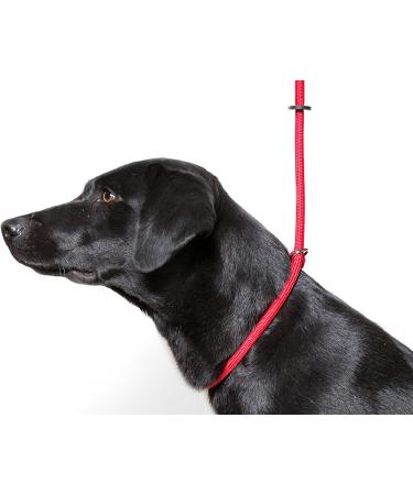 Durable Dog & Field Deluxe Gundog Slip Lead - Super Soft Braided Nylon for All Breeds - One Size, 4 Color Options (Red) - Buy Online on SooperMarket.com