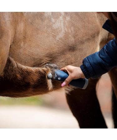 Lister Eclipse Cordless Horse Clipper Cordless Equine Clipper Professional Animal Clipping Clippers for Horses & Cattle Farm Supplies Lightweight Low Vibration Medium Duty Clipping - Buy Online on SooperMarket.com