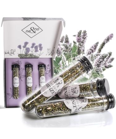 ne & no gift set with natural catnip | 3 -series set (5g each) Airtight packaged |Perfect for cat toys scratch mats scratching trees |Cats mint |Cat grass dried (catnip)