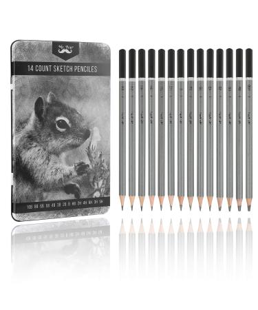 Mr. Pen- Sketch Pencils for Drawing, 14 Pack, Drawing Pencils, Art Pencils, Graphite Pencils, Graphite Pencils for Drawing, Art Pencils for Drawing and Shading